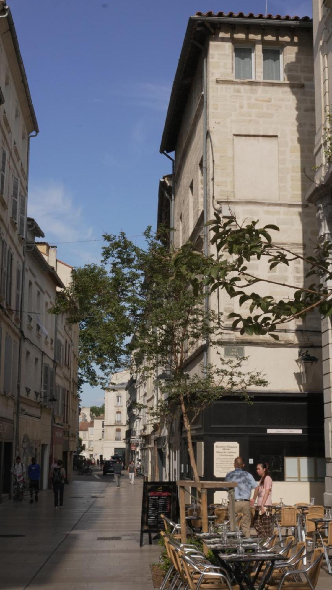 Apartment Maison Jacob - Hyper Centre - Maison Historique - Air Conditioning - Wifi *